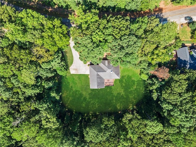 bird's eye view