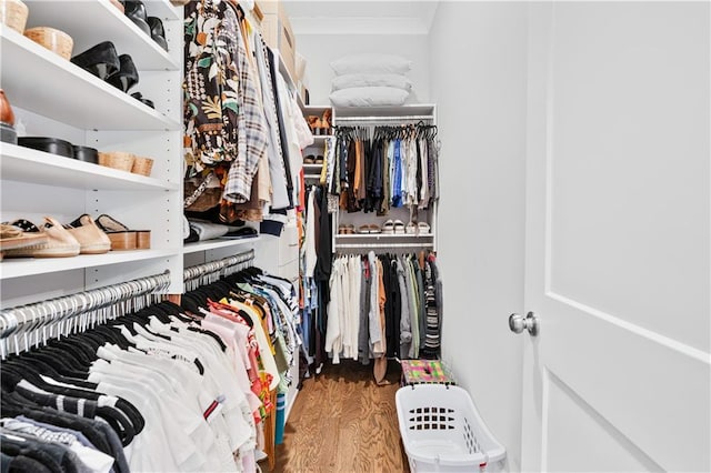 walk in closet featuring hardwood / wood-style floors