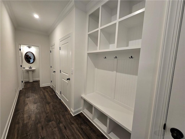 3677 Thornhill Ct, Douglasville, GA 30135 - mudroom with crown molding, dark wood-style floors, and baseboards