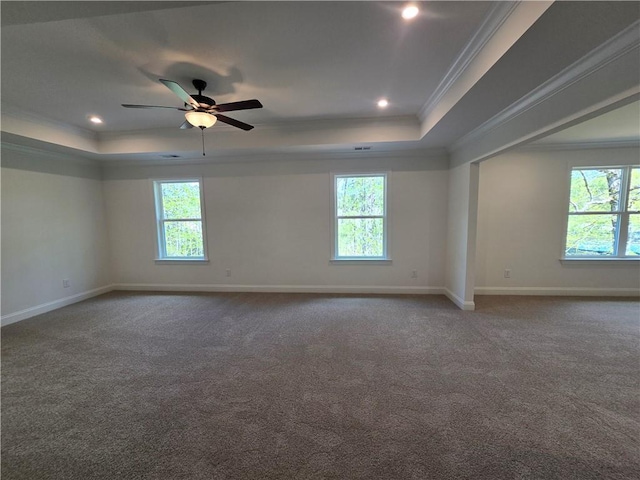 3677 Thornhill Ct, Douglasville, GA 30135 - spare room with a tray ceiling, healthy amount of natural light, ornamental molding, baseboards, and recessed lighting