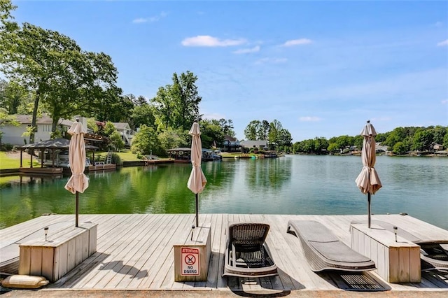 705 Berry Ct, Villa Rica, GA 30180 - dock area with a water view