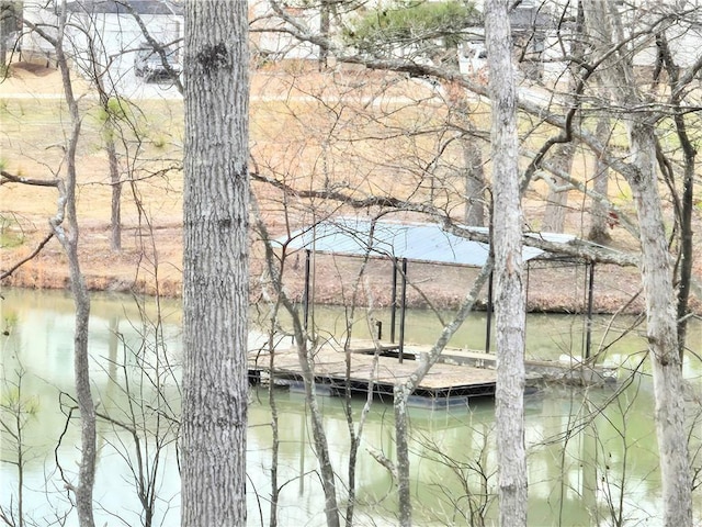 water view with a floating dock