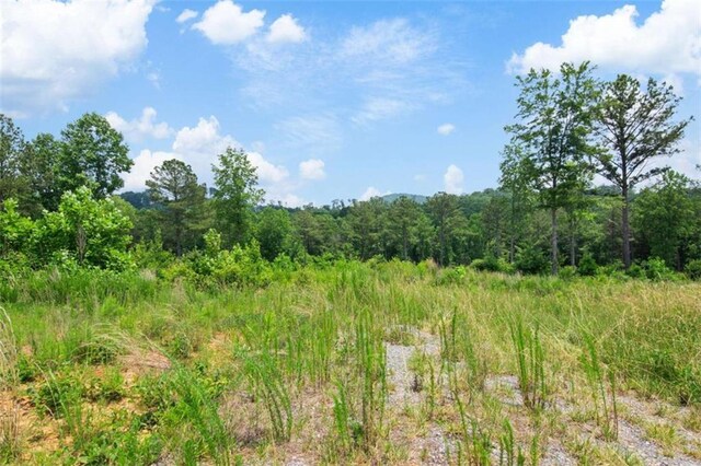 19619 Oak Park Dr, Talking Rock, GA 30175