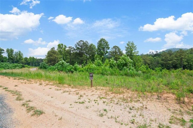 19619 Oak Park Dr, Talking Rock, GA 30175