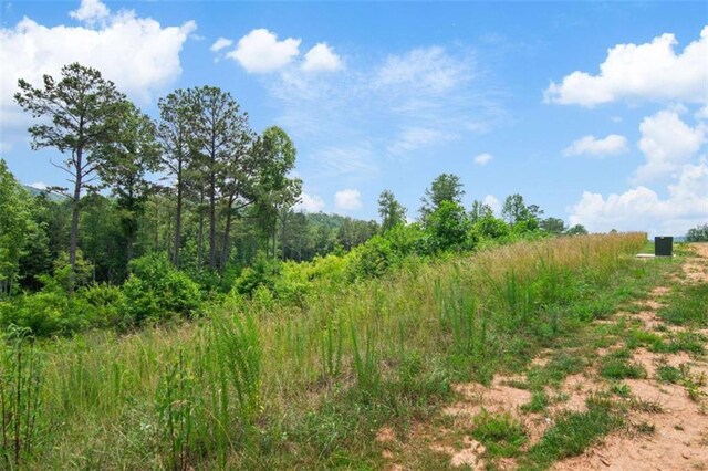 19619 Oak Park Dr, Talking Rock, GA 30175