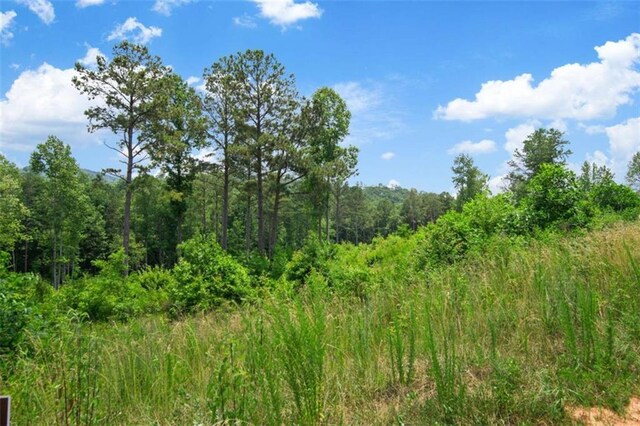 19619 Oak Park Dr, Talking Rock, GA 30175