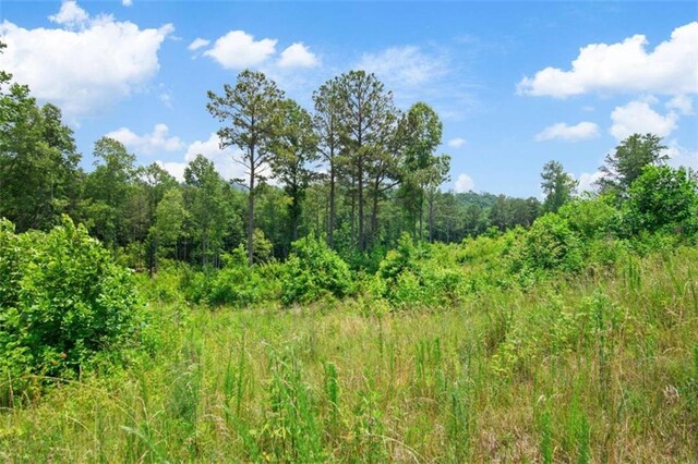 19619 Oak Park Dr, Talking Rock, GA 30175