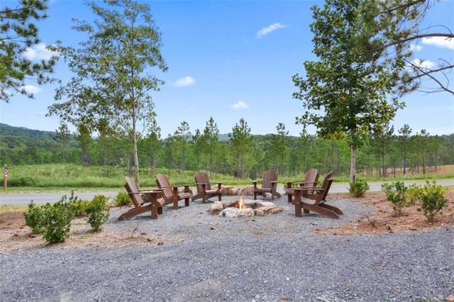 19619 Oak Park Dr, Talking Rock, GA 30175