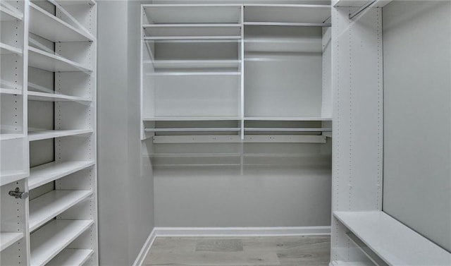 spacious closet featuring wood finished floors