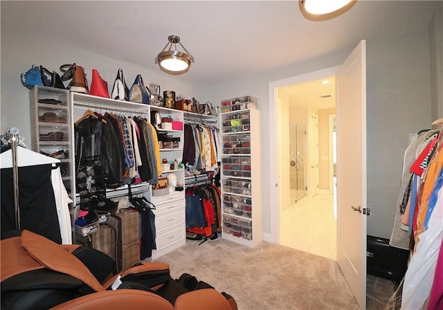 spacious closet featuring light colored carpet