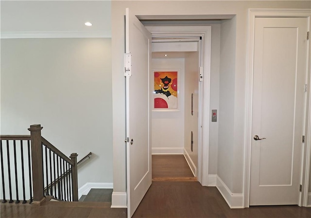 hallway featuring dark hardwood / wood-style flooring