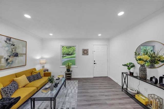 living room with light wood-type flooring