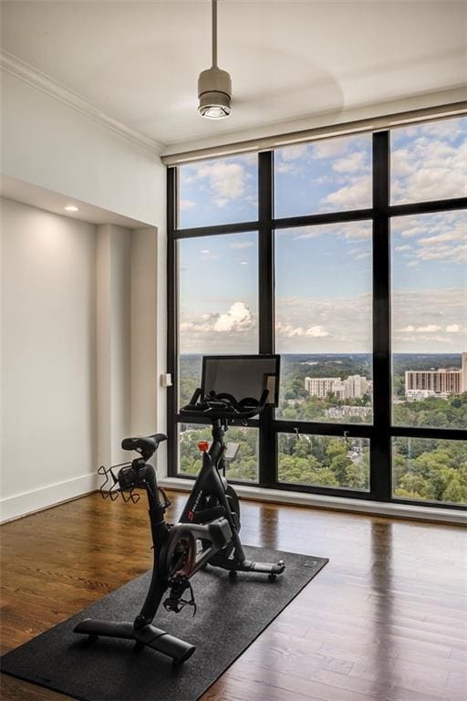 workout room with expansive windows, wood-type flooring, and ornamental molding