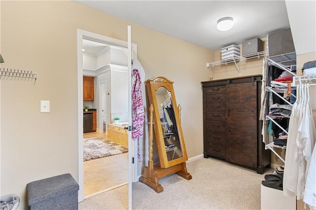 spacious closet with light colored carpet