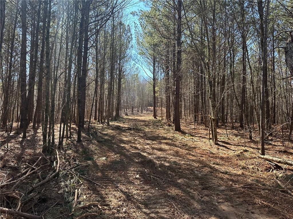 11-/ Patriot, Dahlonega, GA 30533