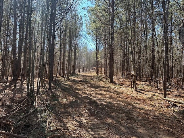 11-/ Patriot, Dahlonega, GA 30533