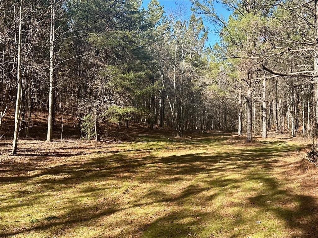 11-/ Patriot, Dahlonega, GA 30533
