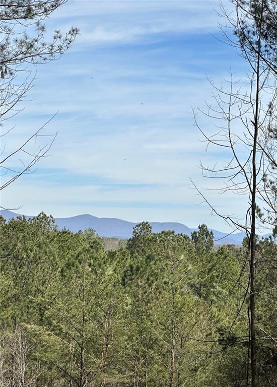 11-/ Patriot, Dahlonega, GA 30533
