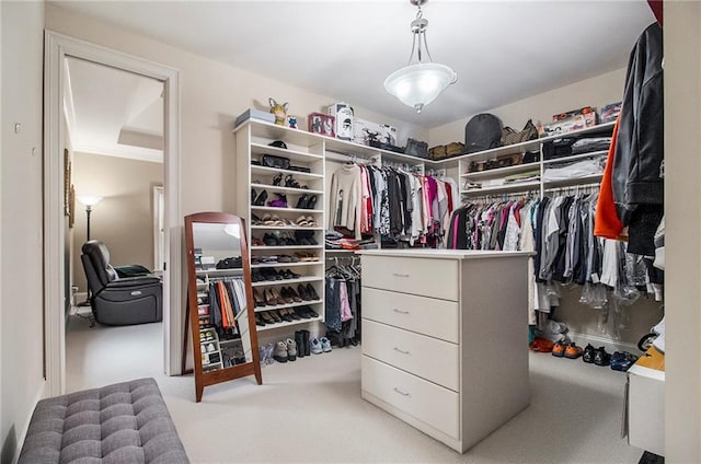 3015 Southmoor Trce, Roswell, GA 30075 - spacious closet with carpet flooring