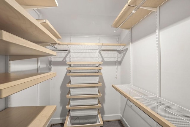 2983 Crosswycke Forest Dr, Brookhaven, GA 30319 - view of spacious closet
