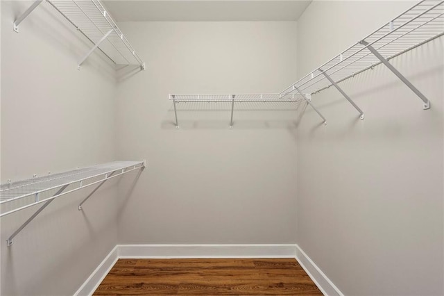 walk in closet with hardwood / wood-style floors