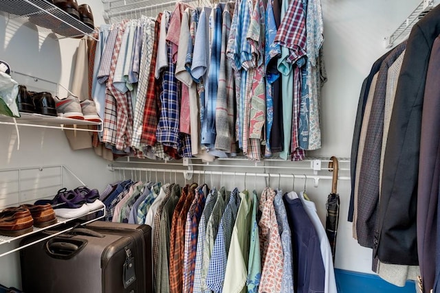 view of spacious closet