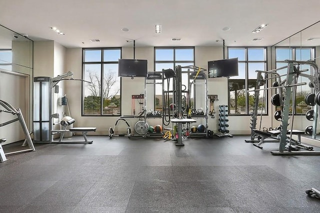 workout area with plenty of natural light