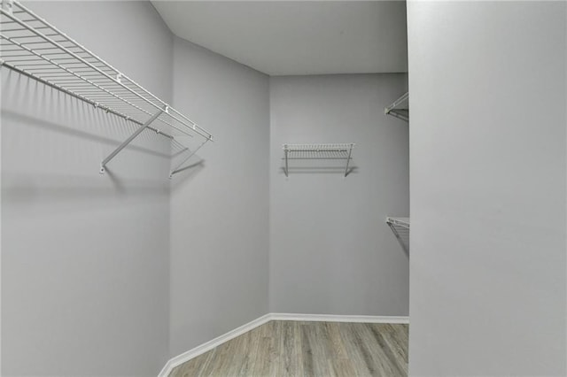 walk in closet with light hardwood / wood-style flooring