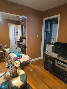 living room with hardwood / wood-style floors