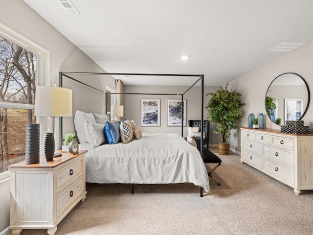 walk in closet featuring carpet flooring