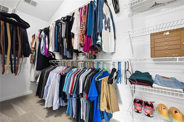 5710 Waters Edge Trl, Roswell, GA 30075 - spacious closet with carpet flooring