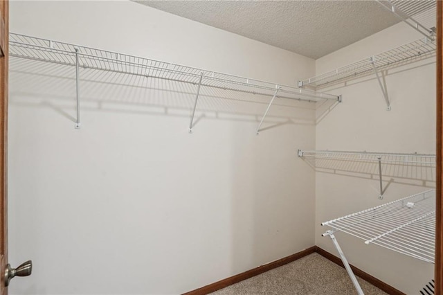 2110 Waterloo Cir, Lawrenceville, GA 30043 - walk in closet featuring carpet flooring
