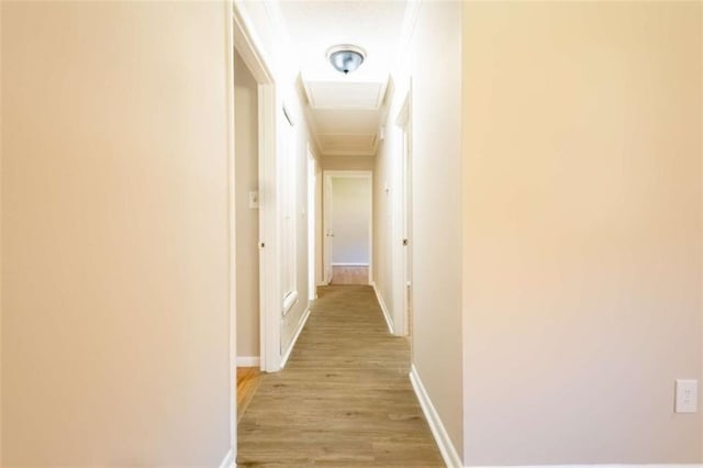 hallway with light wood-style flooring, crown molding, and baseboards