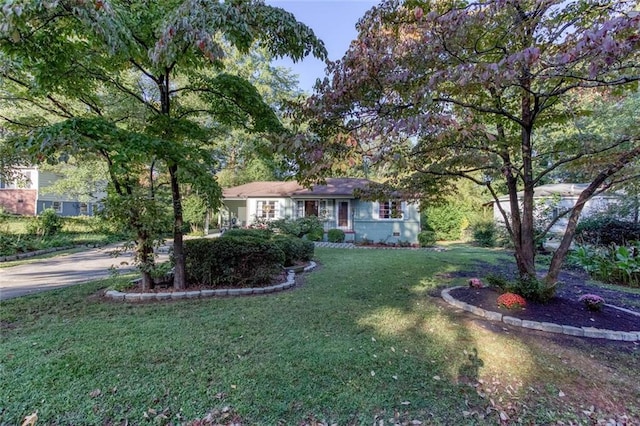 view of front of property with a front lawn