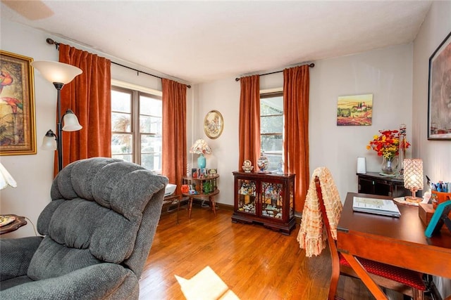 living room with hardwood / wood-style flooring and a wealth of natural light