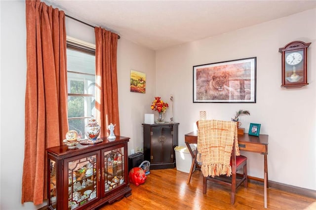 sitting room with hardwood / wood-style flooring