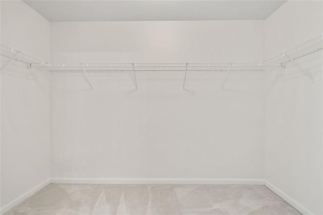 walk in closet with light colored carpet