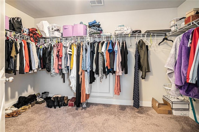 spacious closet with carpet