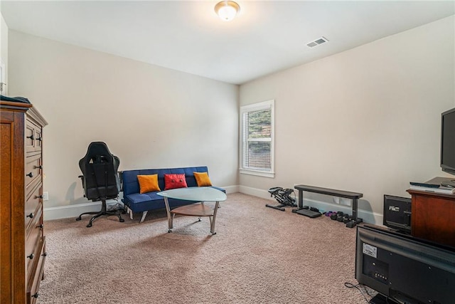 sitting room with carpet