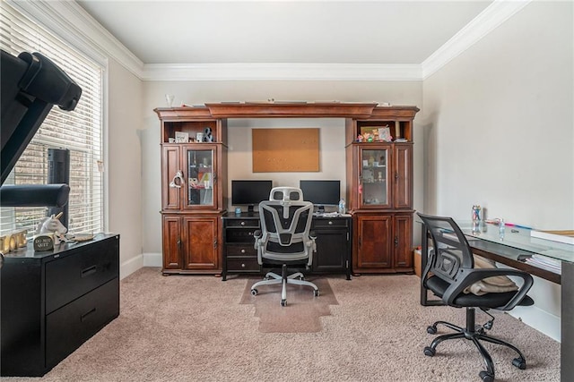 carpeted home office with crown molding