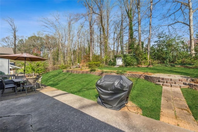 view of yard featuring a patio area