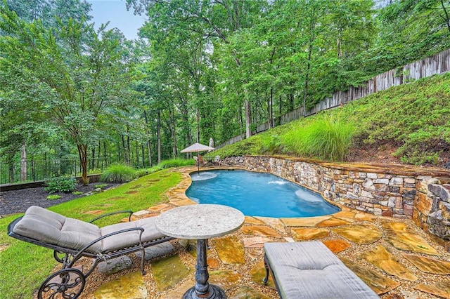 162 Taylor Ridge Way, Milton, GA 30004 - view of pool with a fenced backyard and a patio area