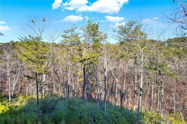 view of local wilderness