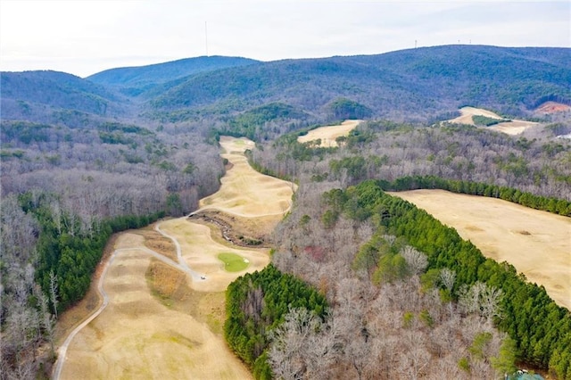 view of mountain feature