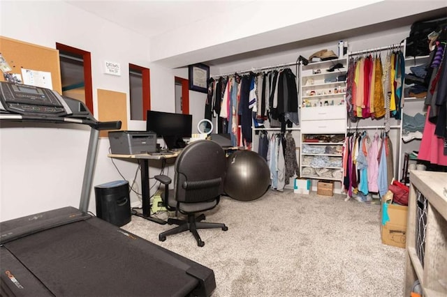 office space featuring carpet floors