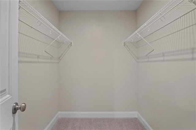 spacious closet with carpet floors