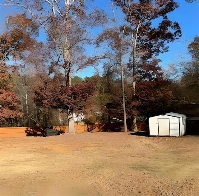 view of yard featuring a storage unit