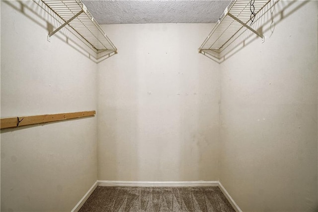 spacious closet featuring carpet floors