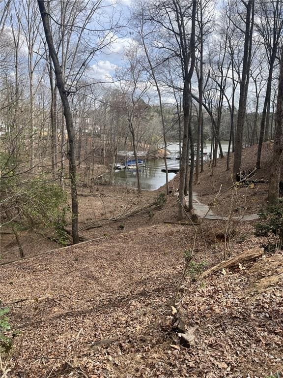 Listing photo 3 for 2545 Bridgewater Dr, Gainesville GA 30506