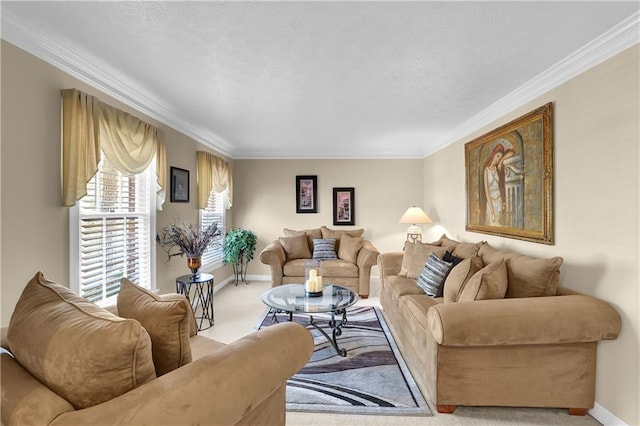 carpeted living room with ornamental molding